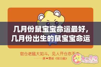 鼠宝宝最佳出生月份揭秘，星象运势助你了解命运走向