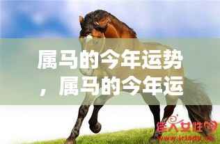 属马人今年运势详解及运势展望