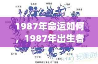 1987年出生者的命运展望与星座运势解析，全面解读未来走向
