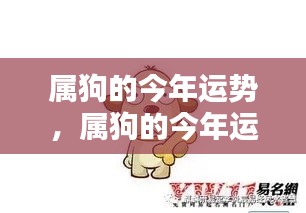 属狗人今年运势详解，运势分析与发展预测