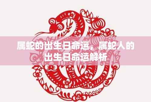 属蛇人的出生日命运详解与解析