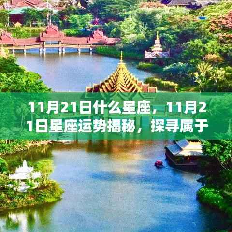 揭秘11月21日星座运势与星辰轨迹，探寻属于你的星座命运