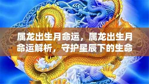 属龙出生月命运解析，守护星辰下的生命轨迹