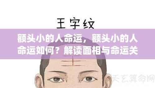 额头小的人命运解析，面相与命运之间的神秘关联