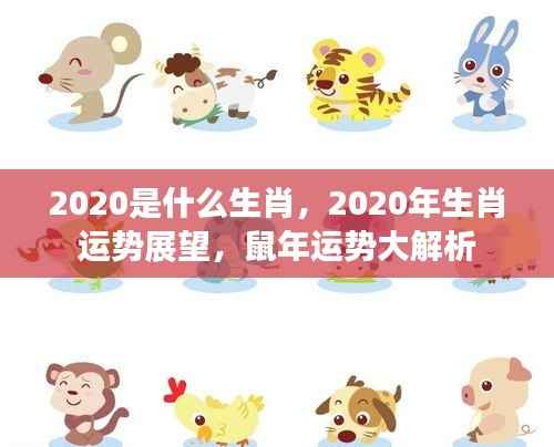 2020年生肖运势展望，鼠年运势全面解析