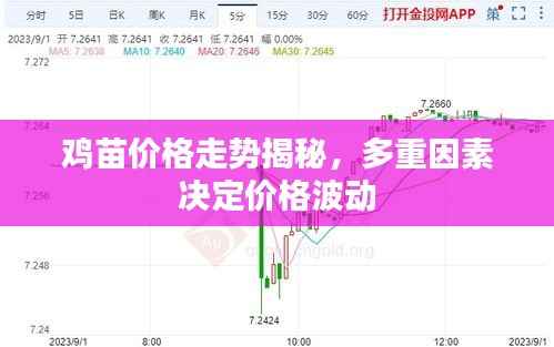 鸡苗价格走势揭秘，多重因素决定价格波动
