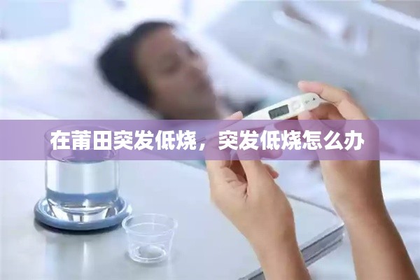 仪表堂堂 第5页