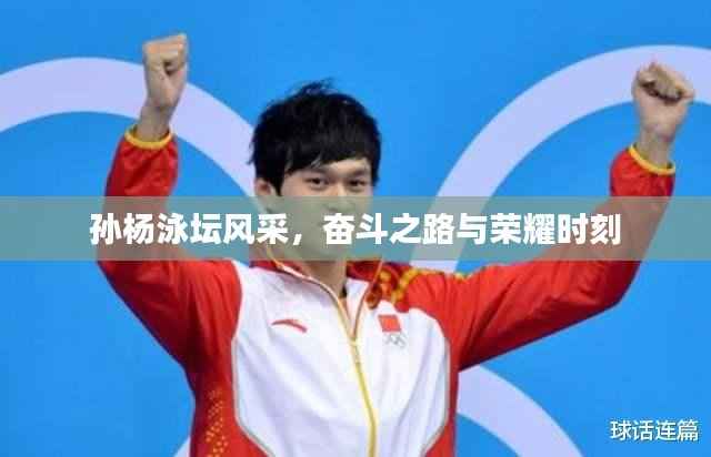 孙杨泳坛风采，奋斗之路与荣耀时刻