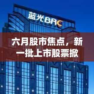 六月股市焦点，新一批上市股票掀起市场热潮
